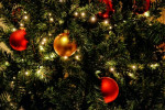 Kroměříž - Sbírka pod vánočním stromem pomůže žákům speciální školy i dětskému domovu